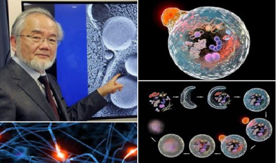 ABD' li BİLİM İNSANLARI ORUÇ İLE İLGİLİ ARAŞTIRMALARINI TAMAMALADI !BİLİM ADAMLARI ORUÇ TUTMAK ÖMRÜ UZATIP BİRÇOK HASTALIĞI ENGELLİYOR