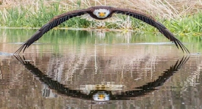 ACI YOKSA, TEKAMÜL DE YOKTUR!..