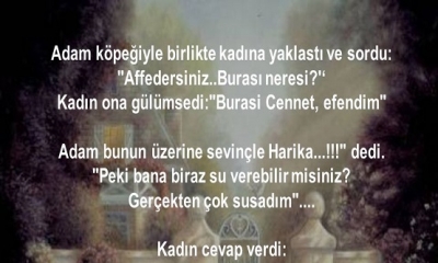 Adam ve hayattaki tek arkadaşı olan köpeği, bir kazada birlikte ölmüşlerdi