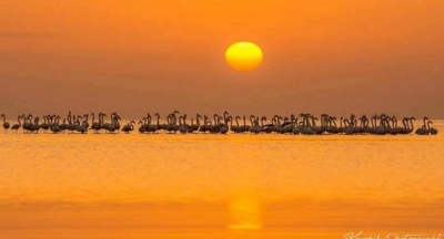 Adamın biri, her mehtaplı gecede alır başını deniz kıyısına gidermiş.