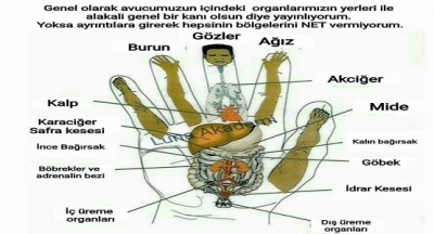 ALKIŞLAYINCA YADA OYNAYINCA NE OLUYOR.?