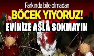 Aman Dikkat! Ürün Etiketinde bu yazıyorsa eğer evinizden uzak tutun