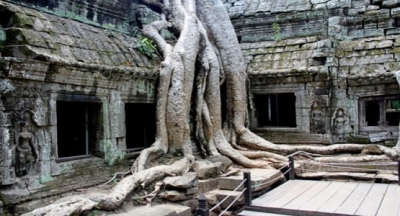 ANGKOR WAT TAPINAĞI
