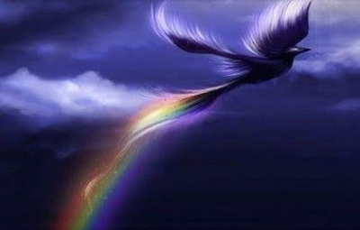 Anka Kuşu rivayete göre bilgi ağacının dallarında yaşar ve her şeyi o bilirmiş.