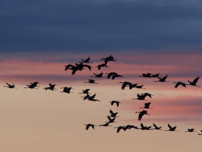 ANNEM MUTSUZ, HUZURSUZ, HUYSUZ BİR İNSAN