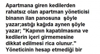 Apartmana giren kedilerden rahatsız olan apartman yöneticisi binanın ilan panosuna astığı kağıda aynen şöyle yazar