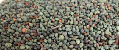 AŞIRI İŞTAHLI OLANLAR,MİDE AĞRISI ÇEKENLER...