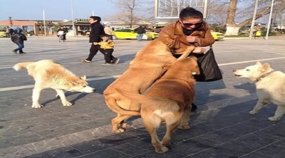 Başarılı bir avukatın kaybettiği tek bir dava vardı.Bir cinayet davası.