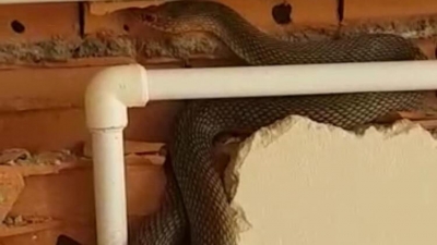 Bayılınca Korkunç Gerçek Ortaya Çıktı