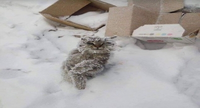 BEN DÜN ÖLDÜM, BİLİYOR MUSUNUZ!..