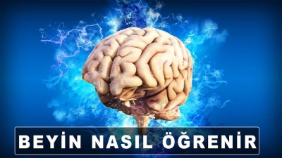 BEYİN NASIL ÖĞRENİR?