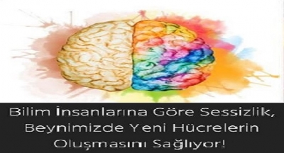 Bilim İnsanlarına Göre Sessizlik, Beynimizde Yeni Hücrelerin Oluşmasını Sağlıyor!