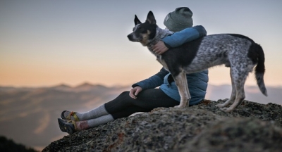 Bilim Onayladı: Köpekler Kötü Ve İyi İnsanları Tanıyabiliyor