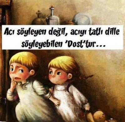 BİR DOSTLUGUN ÖYKÜSÜ