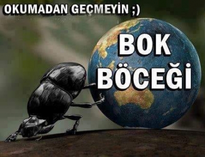 Bok Böceği 