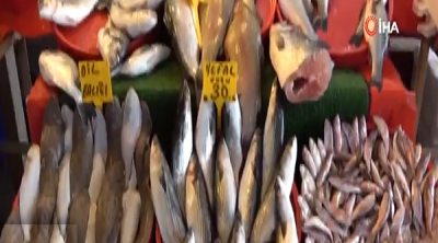 Bu Balığı Yemeden Önce Dikkat! Balık Yedikten Sonra Hayatını Kaybetti