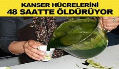 Bu Bitki Kanser Hücrelerini 48 Saatte Parçalıyor