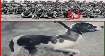 Canberk... (Bir Çanakkale Şehidi)