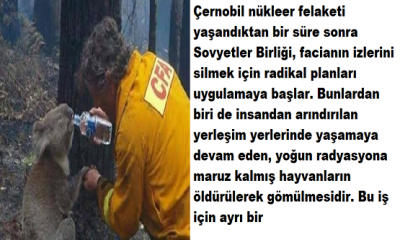 Çernobil nükleer felaketi yaşandıktan bir süre sonra Sovyetler Birliği, facianın izlerini silmek için radikal planları uygulamaya başlar.