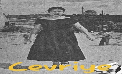 CEVRİYE