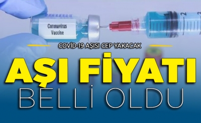 Corona Aşısı Paralı Olacak Ve Cep Yakacak İddiası: İşte Aşı İçin Ödenecek Fiyat