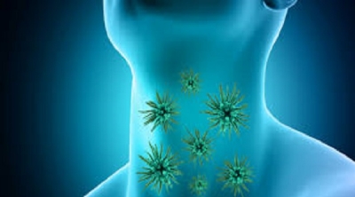 Corona Virüsünün Ciğere İnmesini Engellemek İçin Mutlaka Bunu Yapmalısınız