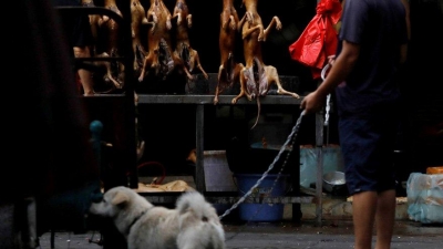 Coronanın Çıktığı Ülkede Ve Yerde Yine Mide Bulandıran Görüntüler: Tüm Uyarılara Rağmen Çinliler Akıllanmıyor
