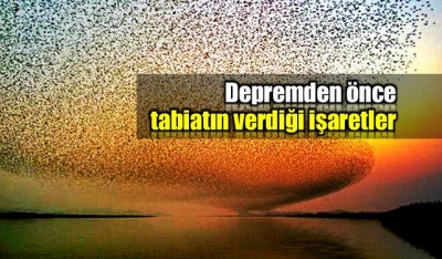Depremden Önce Tüm doğa uyarır, haykırır. Deprem Öncesi Tabiat Ana Uyarıyor. İşte O Şaşırtıcı Uyarılar!