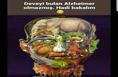 Deveyi Bulan Alzheimer Olmazmış. Siz Bulabildiniz mi?