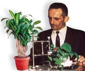 DOĞA İNTİKAM ALIYOR   