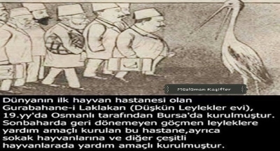 Dünyanın ilk hayvan hastahanesi GURABAHANE-İ LAKLAKAN'dır. 