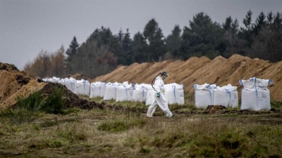Dünyayı saran yeni korku! Yunanistan'a kadar geldi