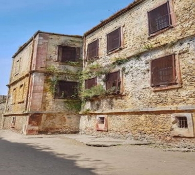 Dut (Teselli) Ağacının Hikayesi