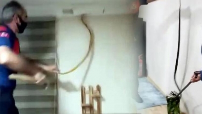 Ev Sahibi Gelen Sesler Üzerine Kartonpiyeri Açmasıyla Şok Yaşadı