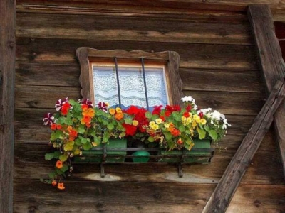 Evin içinde olan huzursuzluklar her zaman dışardan gelmez.