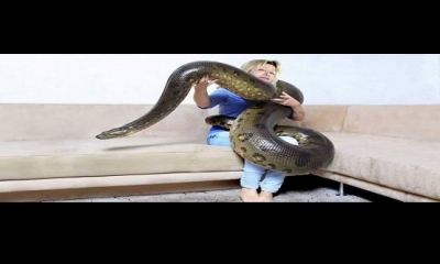 Evinde yılan besleyen kadın, çok sevdiği yılanının artık yemek yemediğini gördü