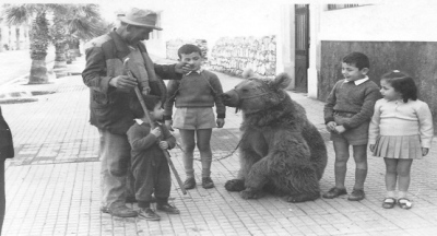 Evliya Çelebi (1611-1682) Seyahatnamesinde, İstanbul’da 70 kadar ayı oynatıcısı olduğunu ifade etmiş.