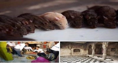 FARELERE TAPAN İNSANLAR- HİNDİSTAN