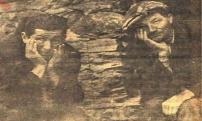 Fink nedir bilir misiniz?