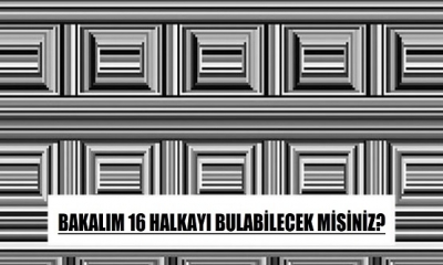 Fotoğraftaki Halkaları Bulabilecek misiniz?