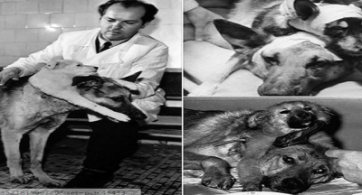 Frankeştayn' ın Köpekleri