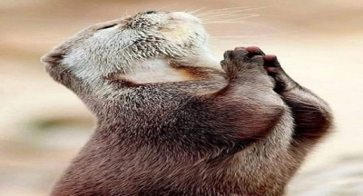 Fransa’nın 2008 yılı “Kim milyoner olmak ister” programında yarışıyordu ve kötü sıkışmıştı.