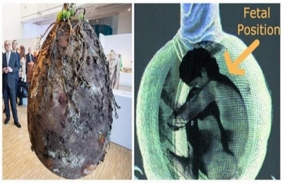 Gelecekte Organik Mezarlar, Gerçek Anıt Ormanlar