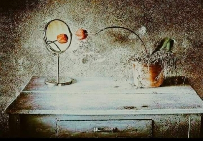 Genç bir çift, yeni bir mahalledeki yeni evlerine taşınmışlar.