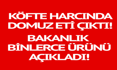Gıda Teröristlerini Bakanlık Açıkladı. Köfte Harcında Domuz Eti Çıktı: İşte Gıda Teröristleri