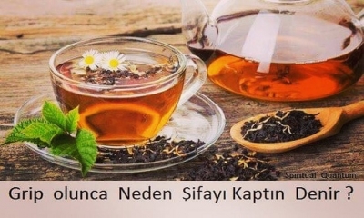 GRİP BİR HASTALIK DEĞİLDİR