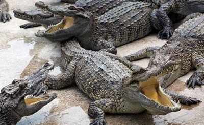 HER BAŞARILI ERKEĞİN ARKASINDA BİR KADIN VARDIR OLAYININ HİKAYESİ