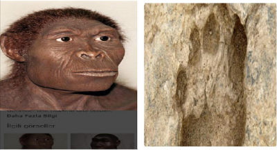 Homo Erectusun 100 Bin Yıl Öncesine Kadar Var Olduğu Tespit Edildi!