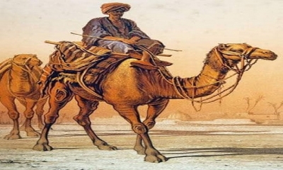 Hz. Ali ve Muaviyenin Deve hikayesi