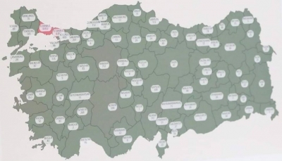 İllere Ve Bölgelere Göre covid-19 vaka sayısı
